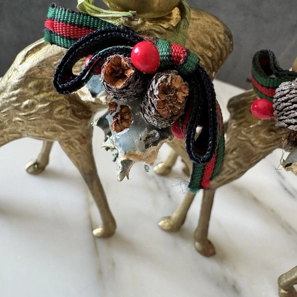 Buck & Brana deer any